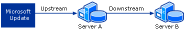 WSUS Design