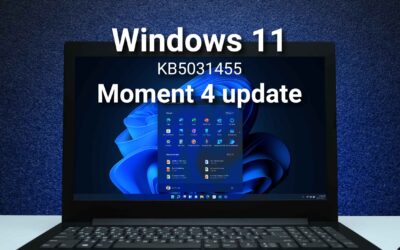 Windows 11 KB5031455 Moment 4 Update: Version 23H2